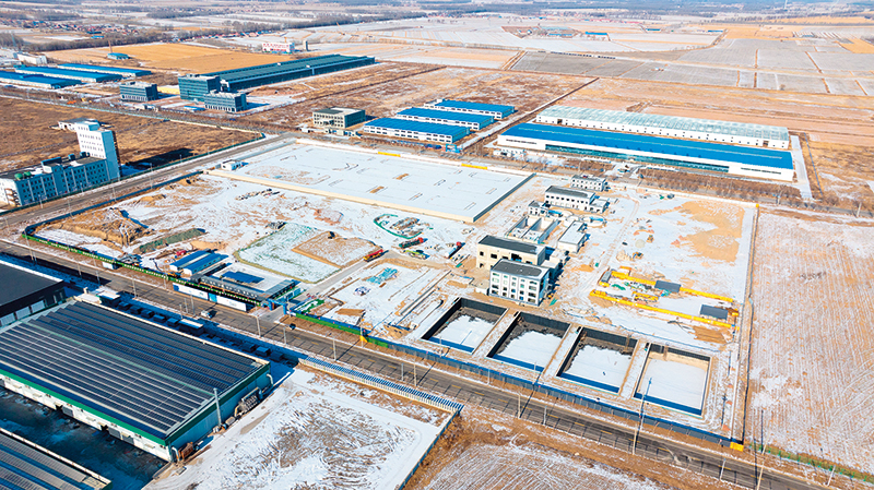 新华网辽宁频道